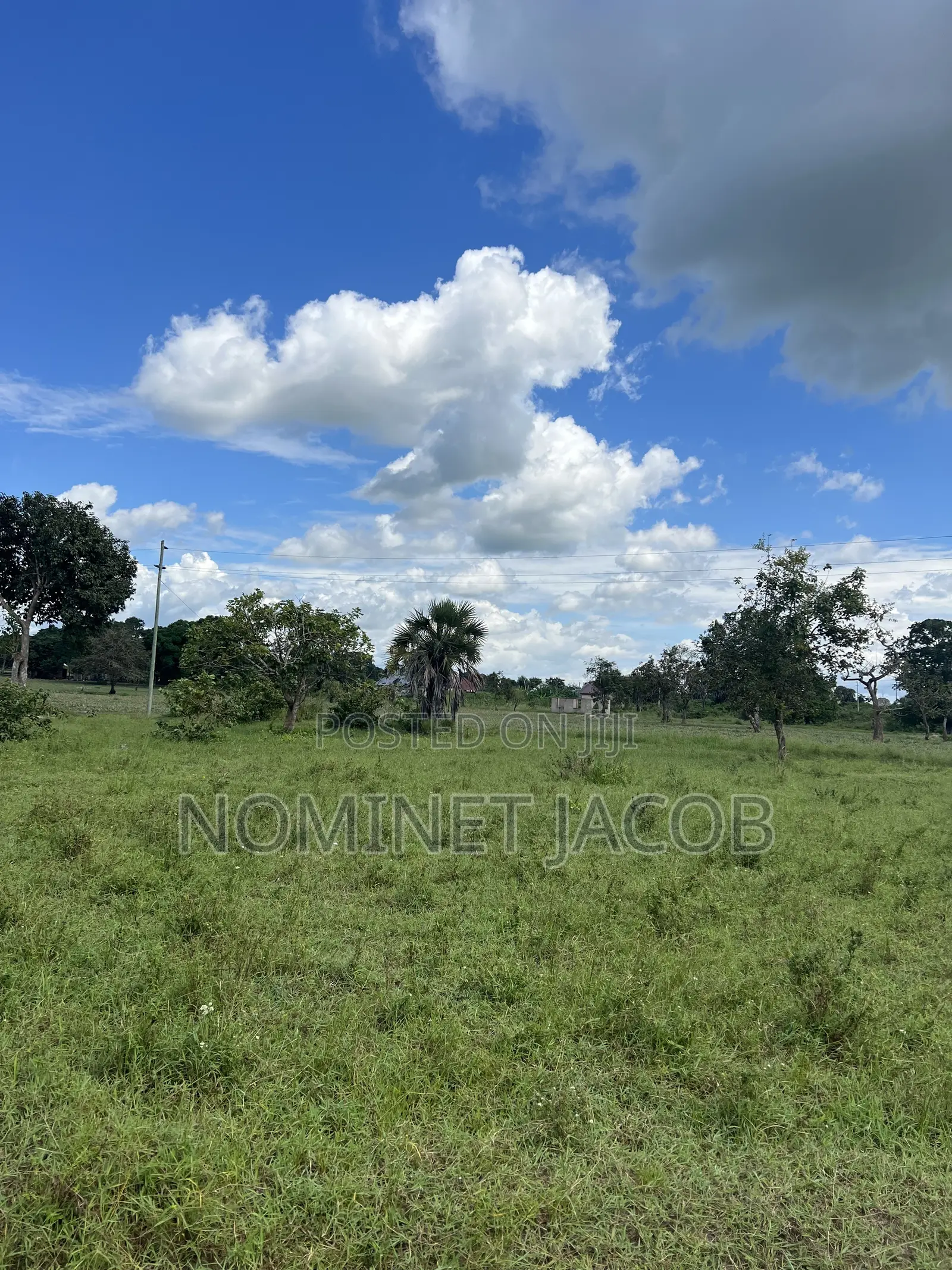 Plot for Sale
