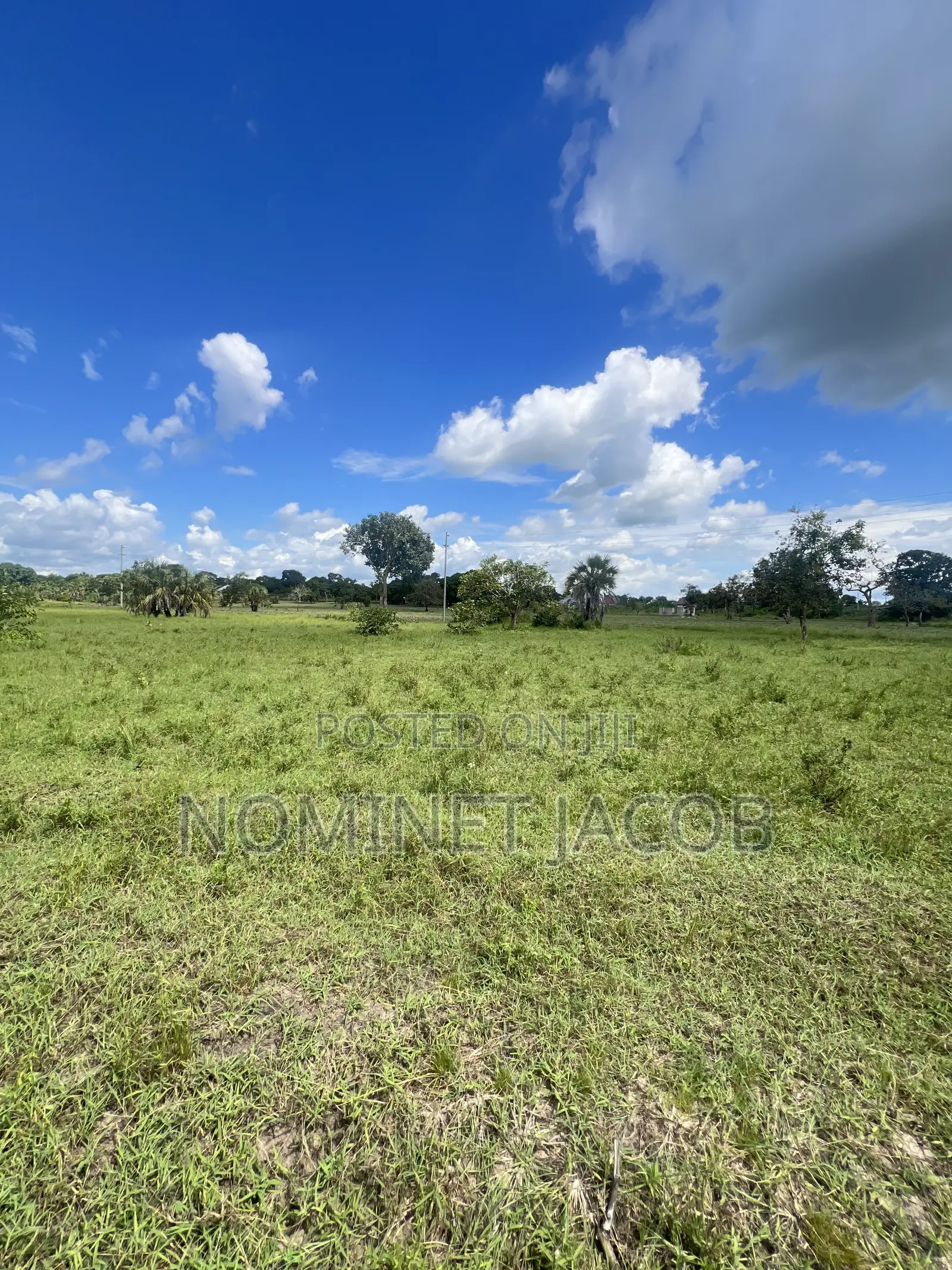 Plot for Sale