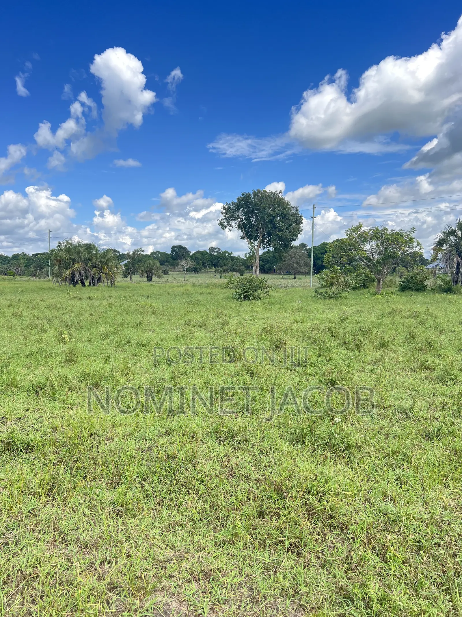 Plot for Sale