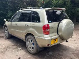 Toyota RAV4 2004 Gold