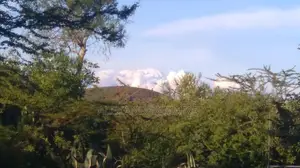 Prime 12-Acre Property for Sale in Arusha, Tanzania