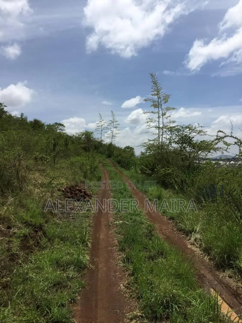 Prime 12-Acre Property for Sale in Arusha, Tanzania