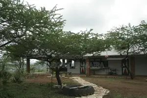 Prime 12-Acre Property for Sale in Arusha, Tanzania