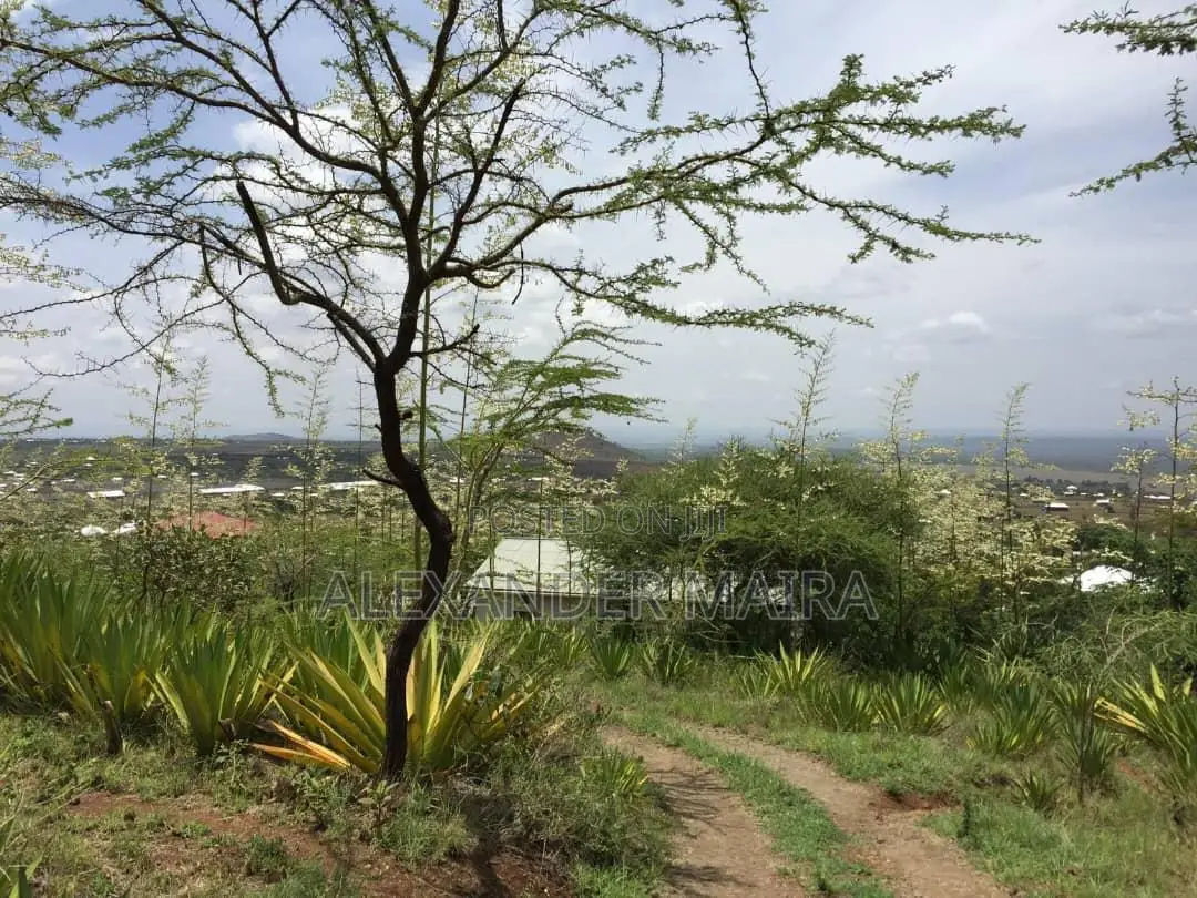 Prime 12-Acre Property for Sale in Arusha, Tanzania