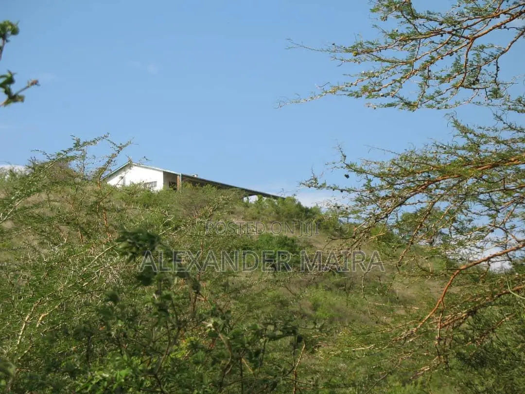 Prime 12-Acre Property for Sale in Arusha, Tanzania