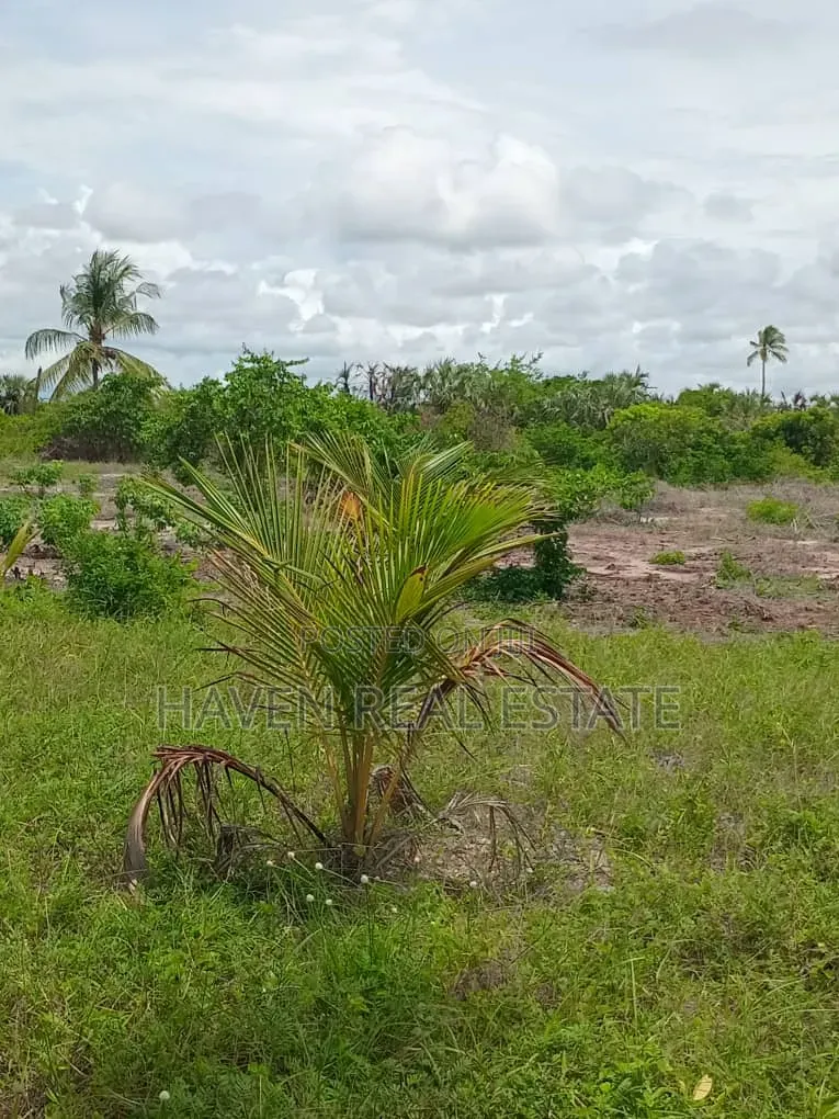 Beach Plot for Sale at Pangani Tanga
