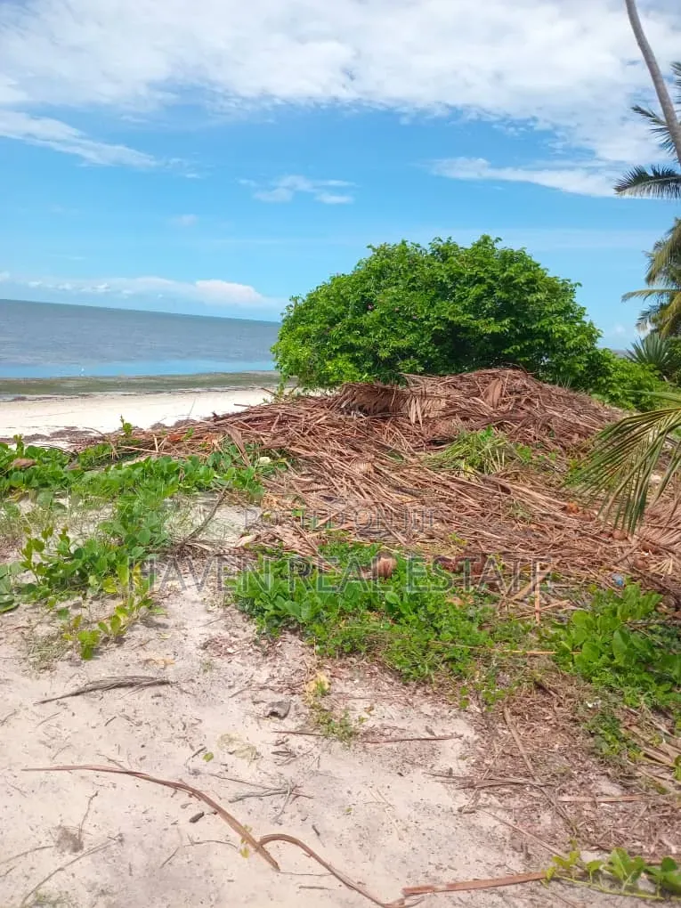 Beach Plot for Sale at Pangani Tanga