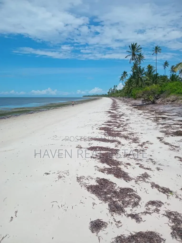 Beach Plot for Sale at Pangani Tanga