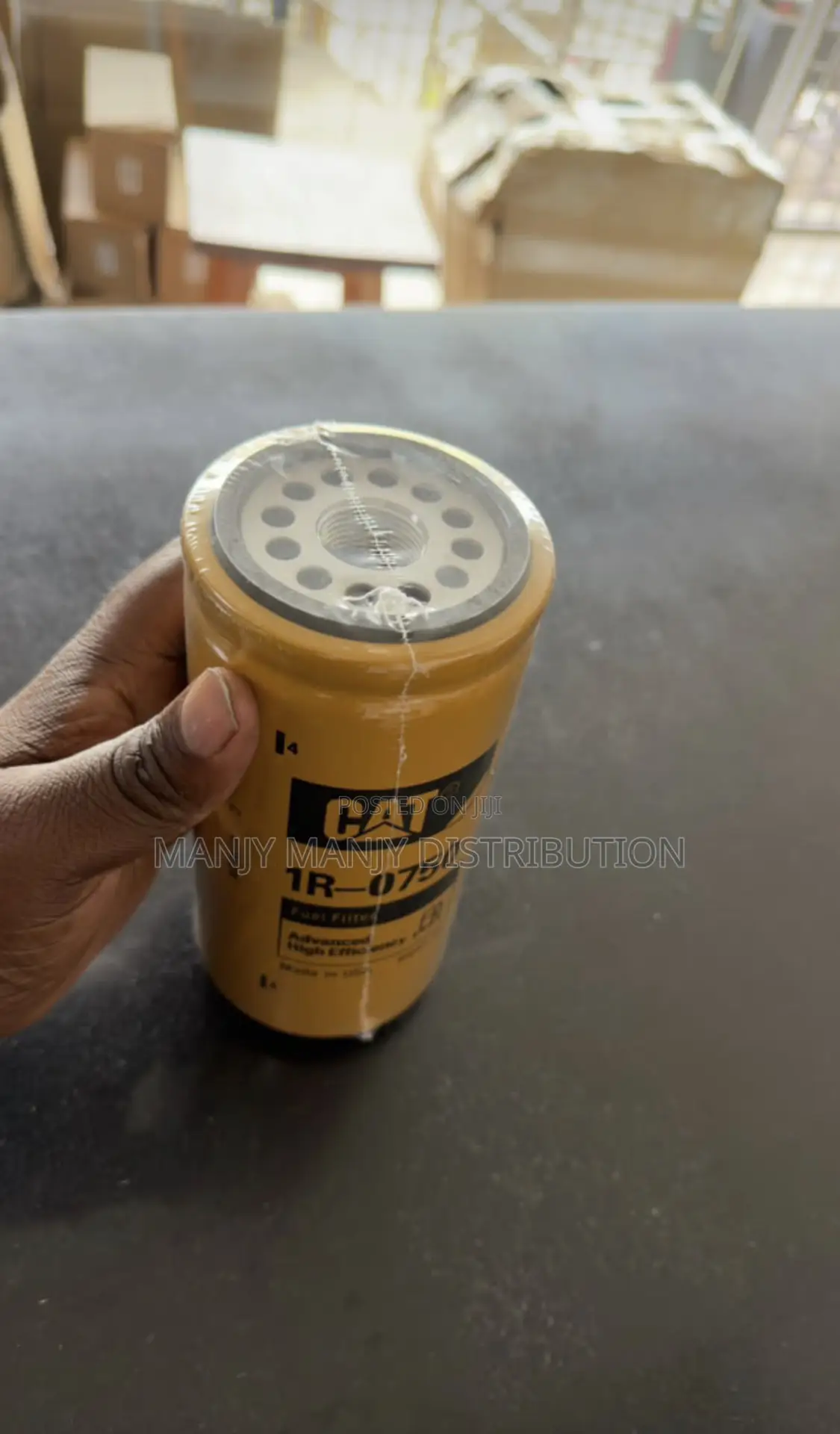 Cat Filter 1r-0750