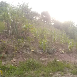 Kiwanja Kizuri Kwa Ajili Ya Makazi