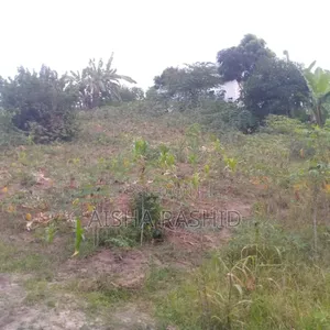 Kiwanja Kizuri Kwa Ajili Ya Makazi