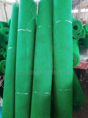Wavu Wa Bandani June