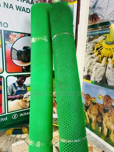 Wavu Wa Bandani June