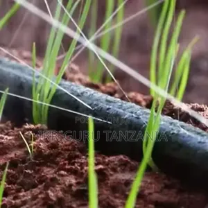 Spray Hose