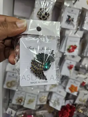 Accessories for Clothes