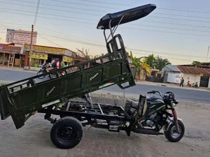 New Bajaj 2025 Green