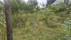 Kiwanja Kinauzwa-Kibanda Cha Mkaa- Karibu Na Msikiti Wa Abbas