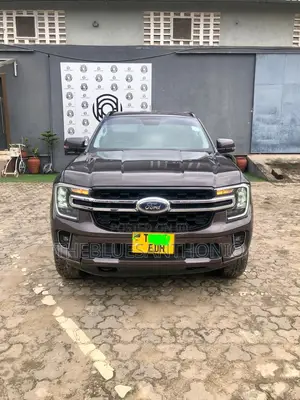 Ford Everest 2023 Gray