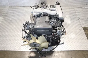 Engines Zipo