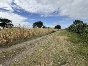 Shamba La Ekari 58 Lenye Mto Sanya Linauzwa Boma Ng'ombe Kwa Wasomali