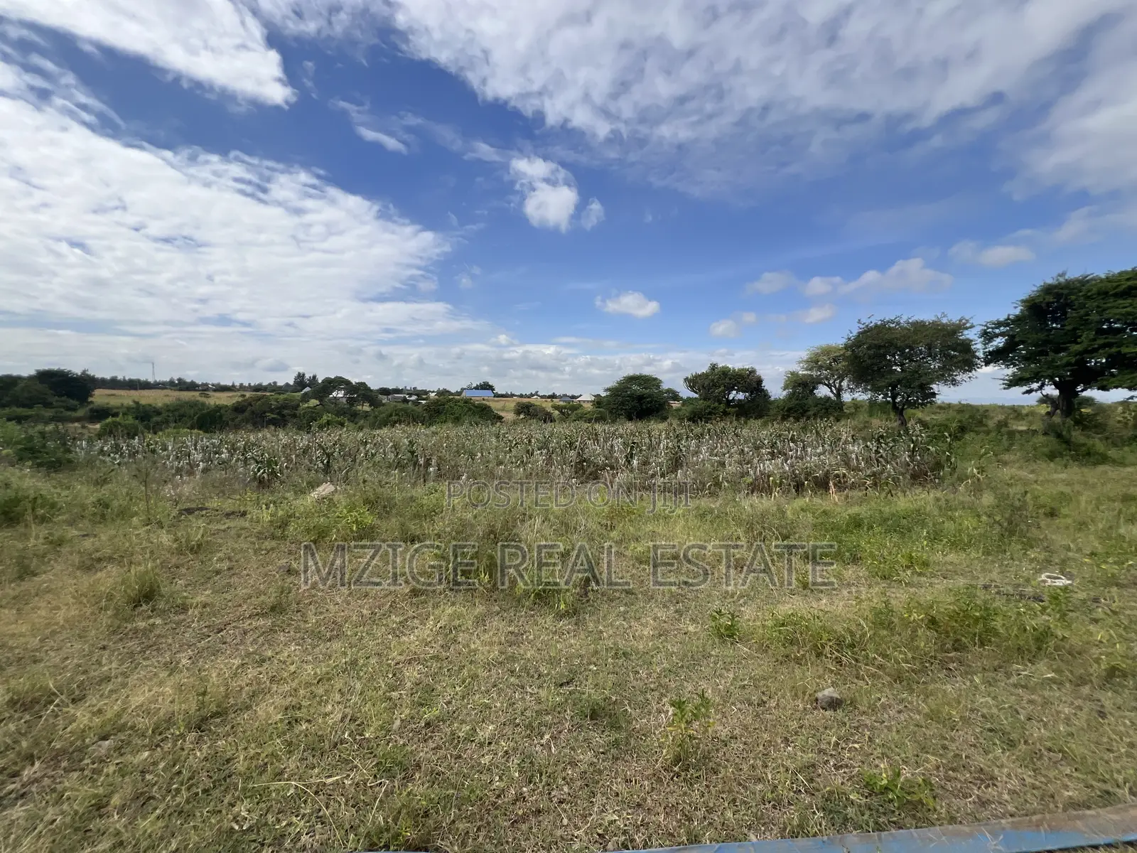 Shamba La Ekari 58 Lenye Mto Sanya Linauzwa Boma Ng'ombe Kwa Wasomali