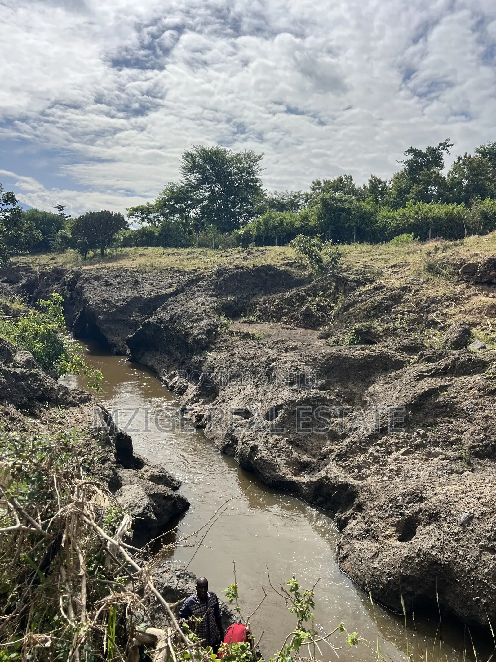 Shamba La Ekari 58 Lenye Mto Sanya Linauzwa Boma Ng'ombe Kwa Wasomali