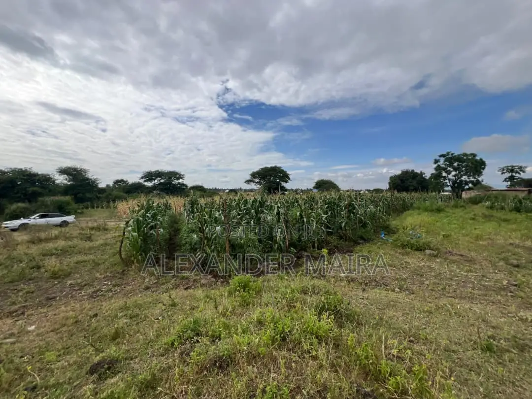 58-Acre of Farmland Is Available for Sale