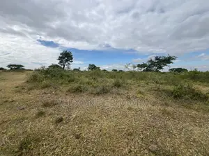 58-Acre of Farmland Is Available for Sale