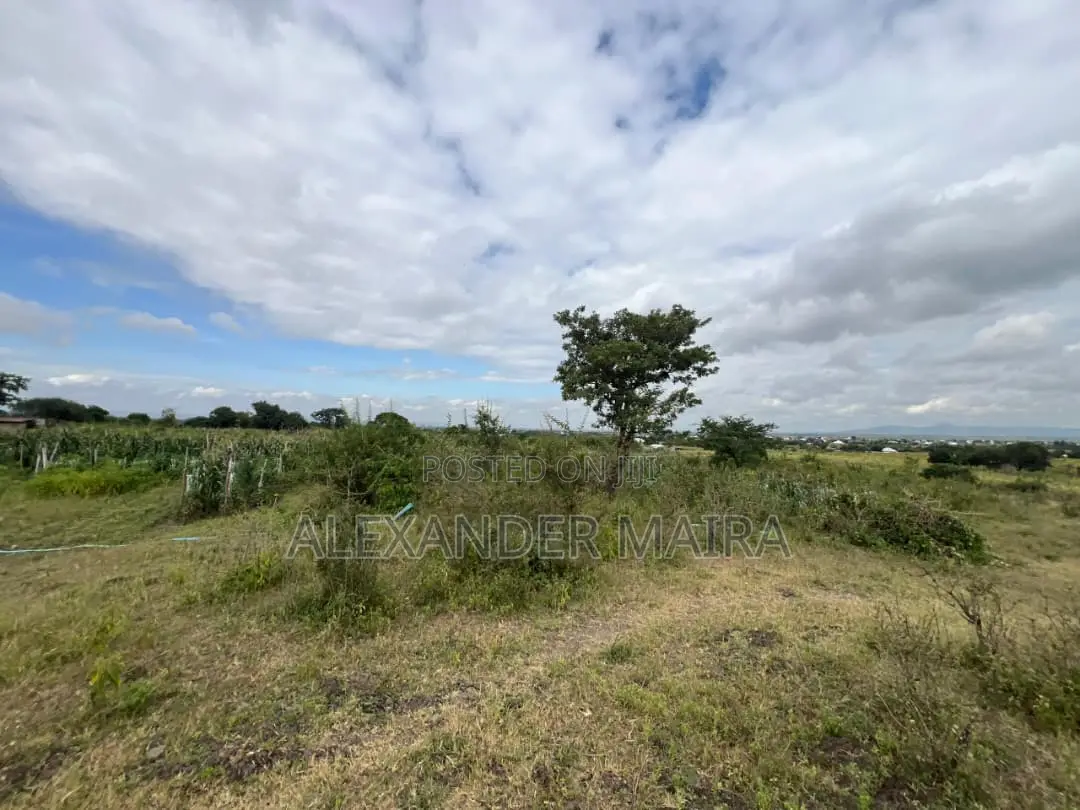 58-Acre of Farmland Is Available for Sale