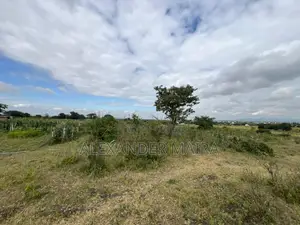58-Acre of Farmland Is Available for Sale