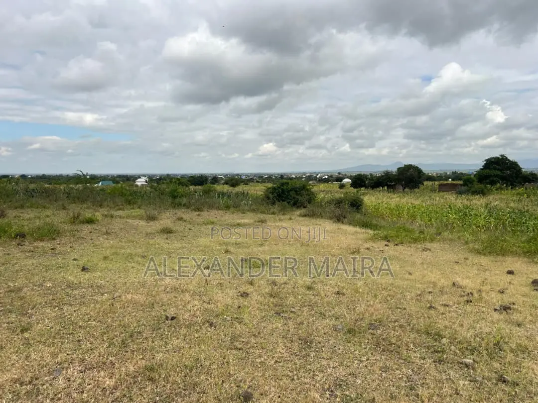 58-Acre of Farmland Is Available for Sale