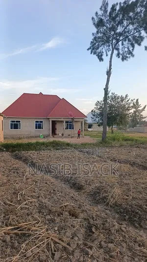 Plot for Sale Nyamhoro