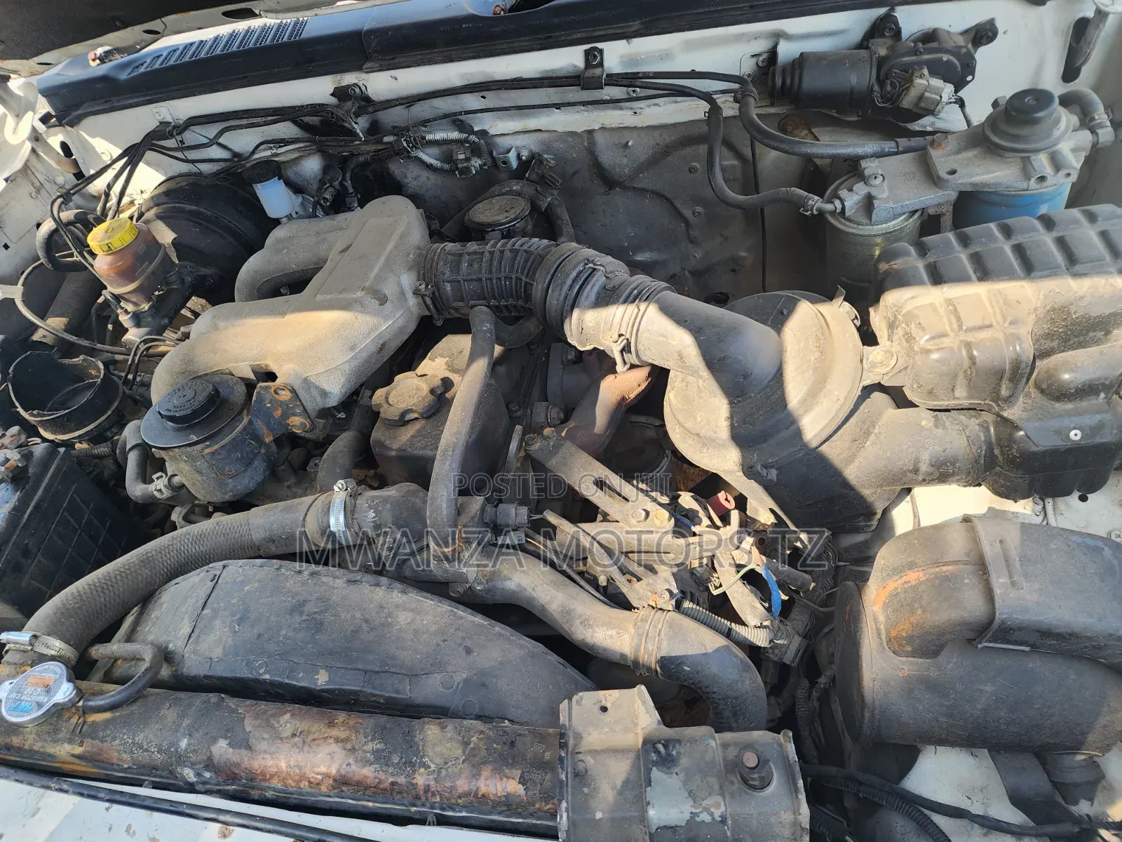 Nissan Hardbody 2000i 2006 White