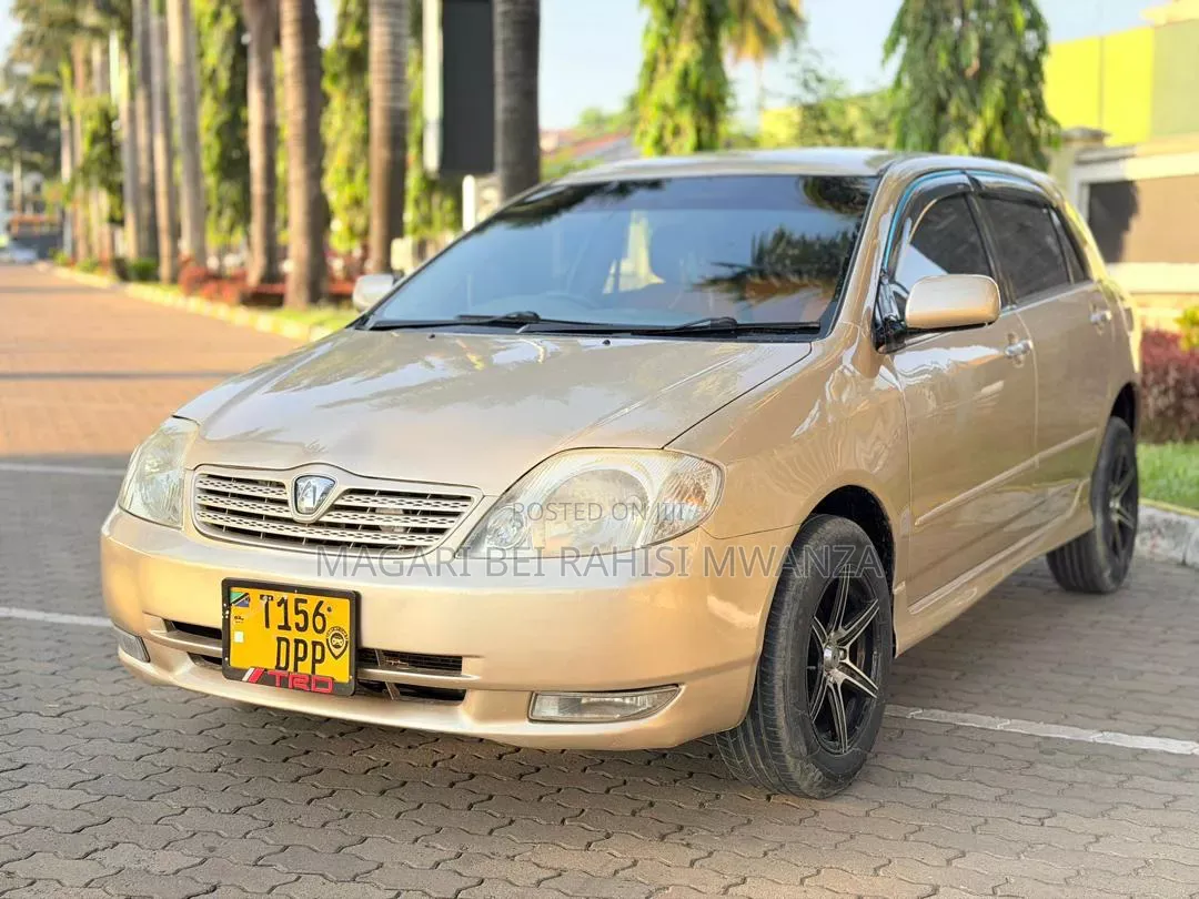 Toyota Allex 2005 Gold