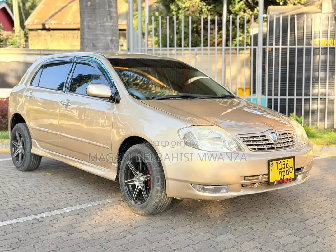 Toyota Allex 2005 Gold