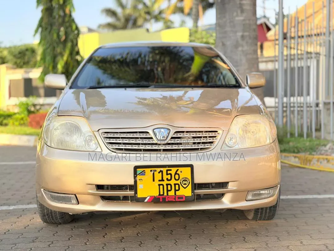 Toyota Allex 2005 Gold