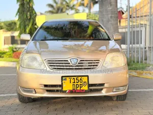 Toyota Allex 2005 Gold