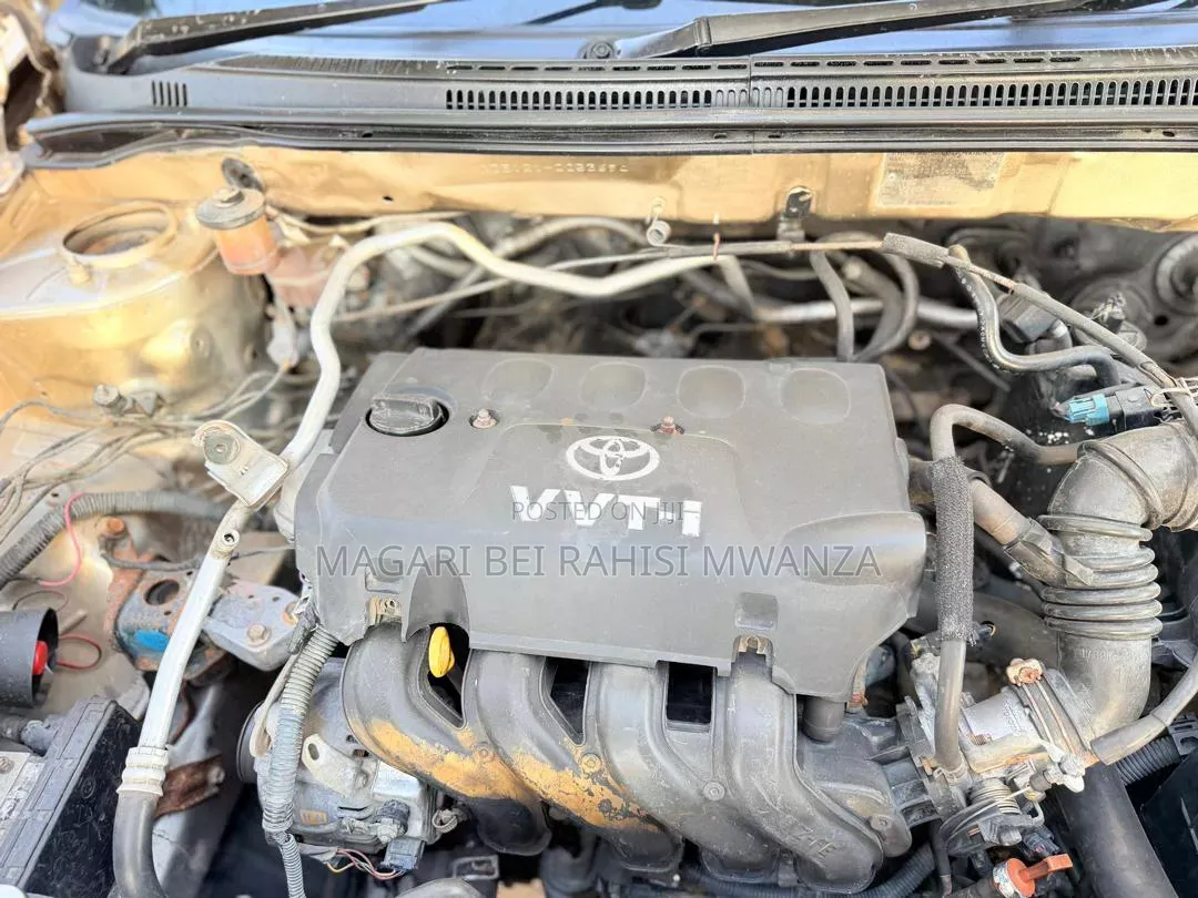 Toyota Allex 2005 Gold