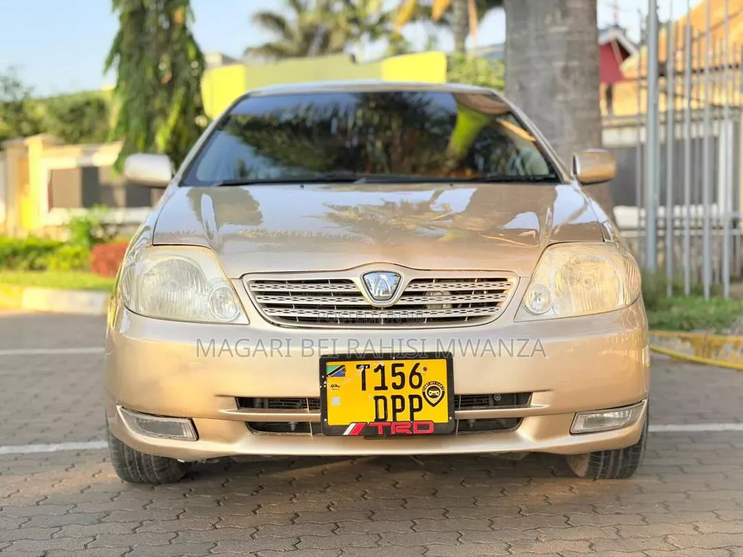 Toyota Allex 2005 Gold