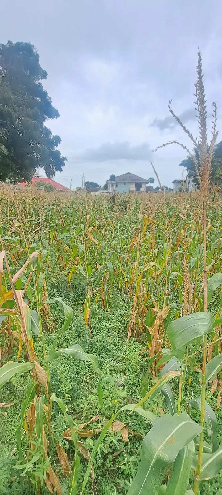 Kiwanja Kinauzwa Mbweni Teta