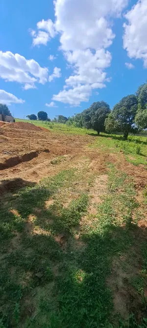Kiwanja Kinauzwa Bunju A