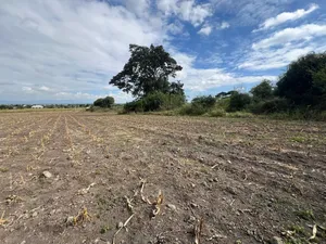 Plot Area SQM for Sale