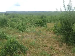 Shamba Linauzwa Kiwangwa Bagamoyo