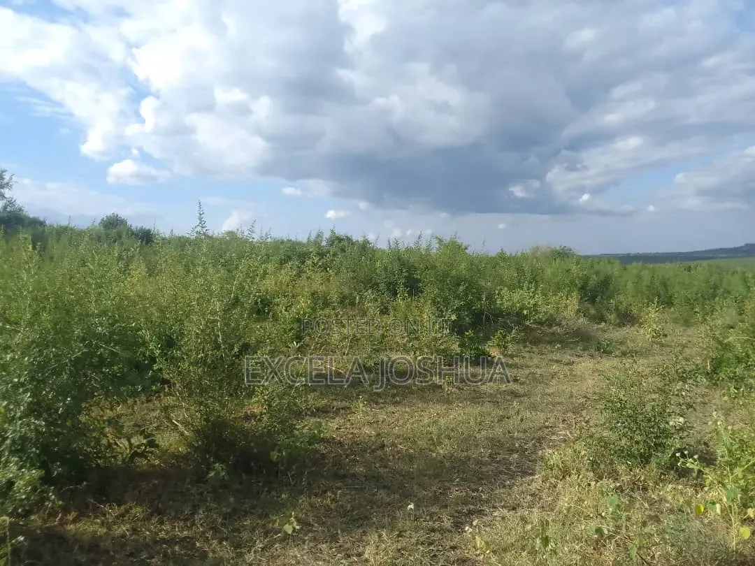 Shamba Linauzwa Kiwangwa Bagamoyo