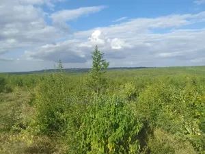 Shamba Linauzwa Kiwangwa Bagamoyo