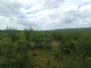 Shamba Linauzwa Kiwangwa Bagamoyo
