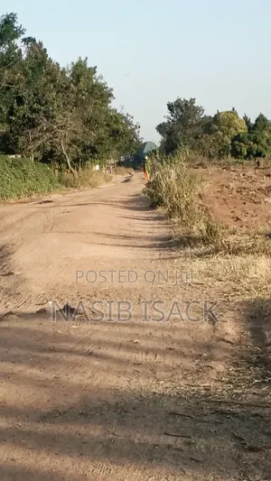 Plot for Sale Nyamhogoro Mwanza