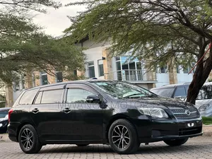 Toyota Corolla Fielder 2008 Black