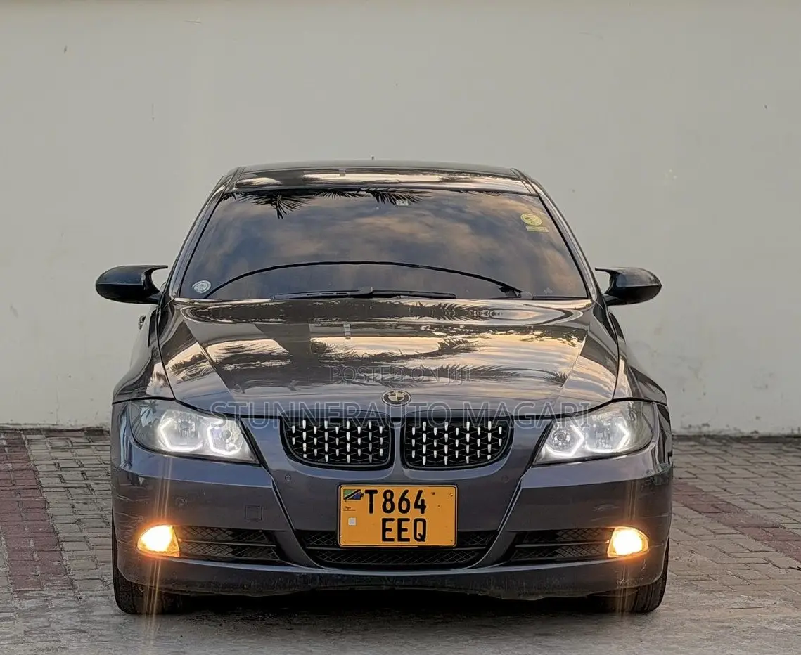 BMW 3 Series 2008 Gray
