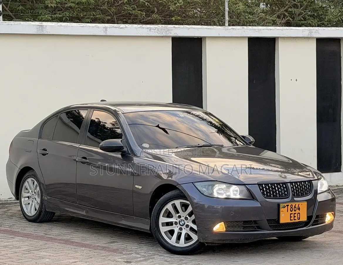 BMW 3 Series 2008 Gray